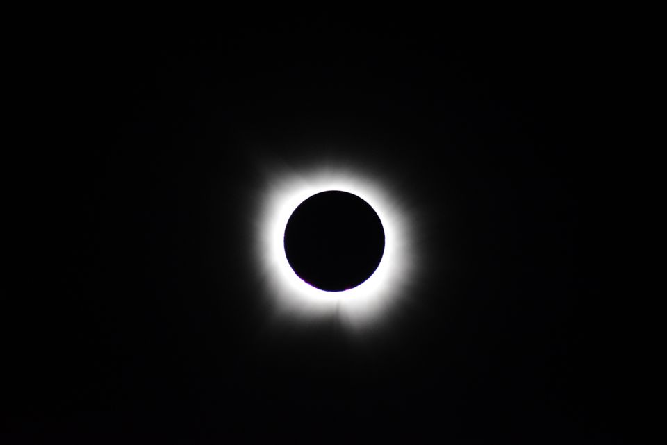 pexels-elolson15-21298469